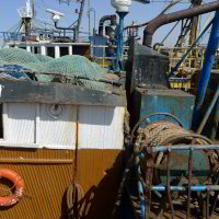 Boote im Hafen
