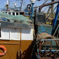 Boote im Hafen