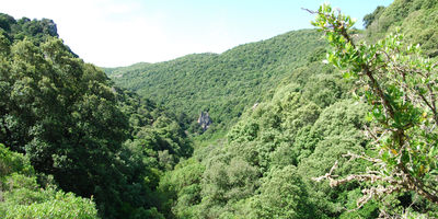 Auf einer Wanderung im Inselinneren