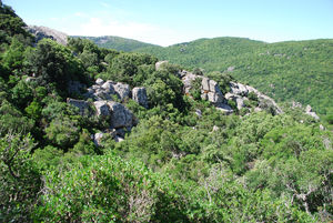 Auf unserer 1.Wanderung im Nationalpark