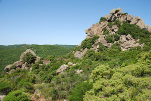 Auf unserer 1.Wanderung im Nationalpark