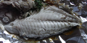 Dorade - nachher Dorade - nachher