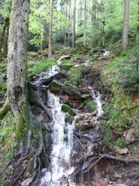 Wasser gibt es überall - Roshimmelwasserfall