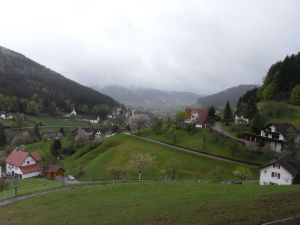 Blick Richtung Baiersbronn Blick Richtung Baiersbronn