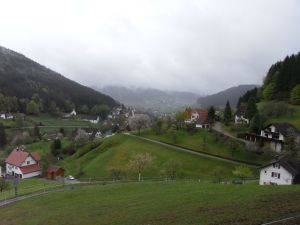 Blick Richtung Baiersbronn