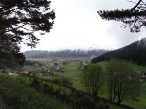 Blick Richtung Baiersbronn Blick Richtung Baiersbronn