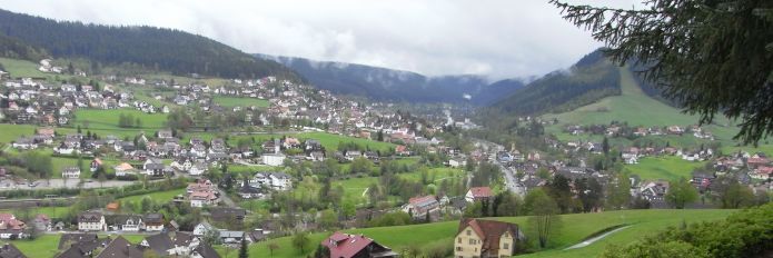 Blick Richtung Baiersbronn