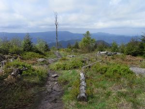 Blick auf die Vogesen