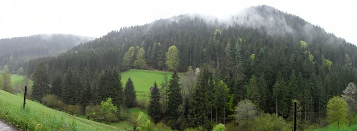 Trübe Aussichten im Reichenbachtal