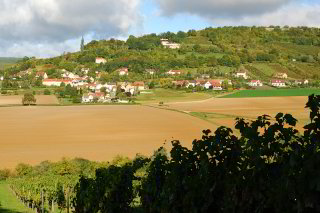 Rückblick Rückblick