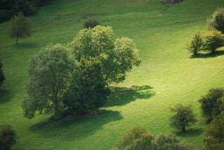 Auf der Wanderung Auf der Wanderung