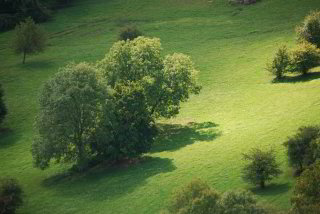 Auf der Wanderung