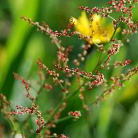 Auf einer Wiese