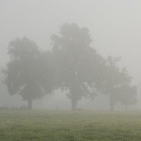 Morgennebel Morgennebel