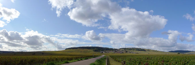 Weindorf unterwegs Weindorf unterwegs
