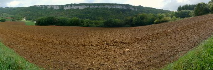 Kalkfelswand Kalkfelswand