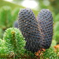 im Botanischen Garten