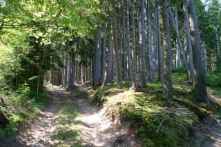 schöner Wanderweg