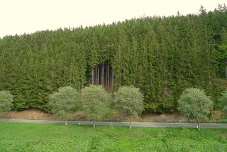 wenig befahrene Landstrassen gibt es hier