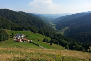 Bild: Nach Norden Richtung Sélestat Bild: Nach Norden Richtung Sélestat