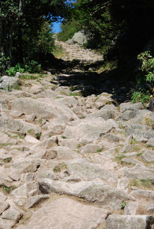 Bild: Aufstieg zum Hohneck Bild: Aufstieg zum Hohneck