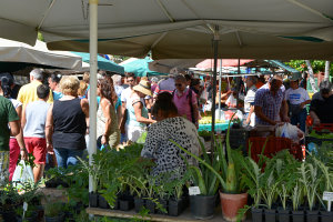 Bild: Auf dem Markt von Ierapetra Bild: Auf dem Markt von Ierapetra