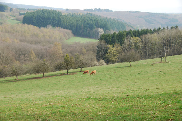 eine wirklich schöne Landschaft