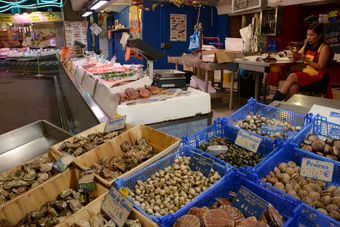 Bild: verschiedene Muscheln und Schnecken Bild: verschiedene Muscheln und Schnecken