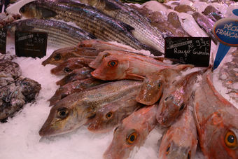 Bild: Frischen Fisch gibts natürlich auch Bild: Frischen Fisch gibts natürlich auch