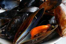 Bild: frische Muscheln Bild: frische Muscheln