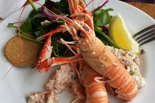 Bild: Langostino Bild: Langostino