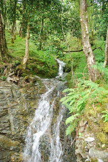 Bild: Wasserfall Bild: Wasserfall