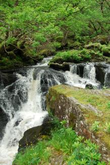 Bild: Wasserfall Bild: Wasserfall