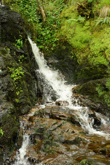 Bild: Wasserfall Bild: Wasserfall