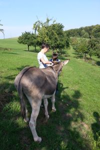 Bild: Elke holt sich professionelle Hilfe auf der Streuobstwiese