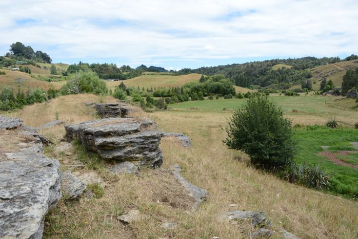 Der Weg führt über Farmland