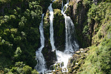 Bild: Waipunga Falls Bild: Waipunga Falls