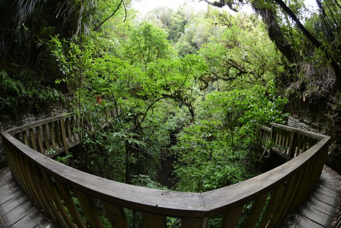 Wilde Schlucht