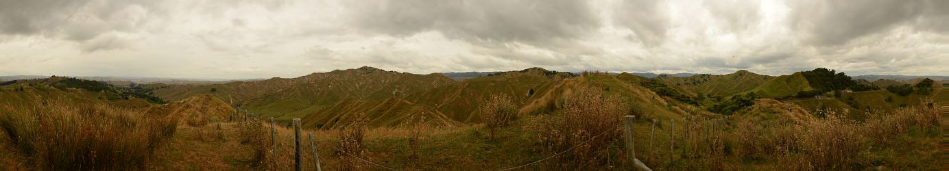 Bild: 