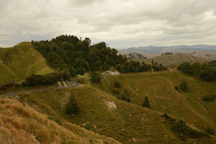 Ausdrucksstarke Landschaft