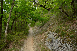 Bild: Ein toller Weg Bild: Ein toller Weg