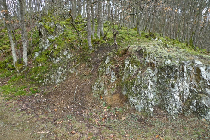 Moosbewachsener Felsen