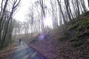 Bild: Endlich Sonne Bild: Endlich Sonne