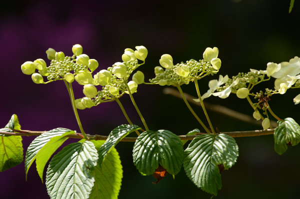 Elke hats einfach drauf