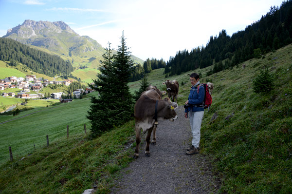 Vorbei an wilden Tieren