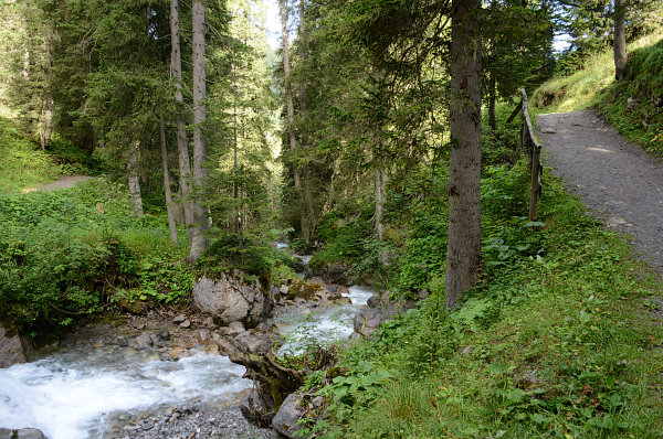 Ein Zufluss zum Lech