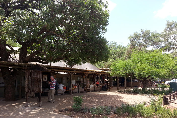 Kaffeetrinken in Tshokwane