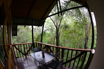 Bild: Unsere Terrasse mitten im Regenwald Bild: Unsere Terrasse mitten im Regenwald