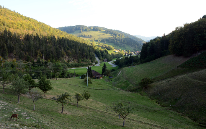 Bild: Blick vom Balkon der Ferienwohnung