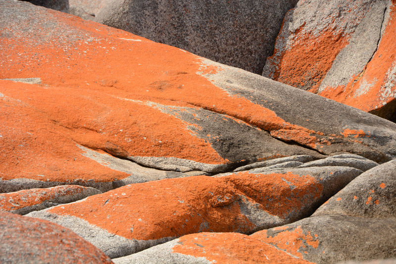 Bay of Fires